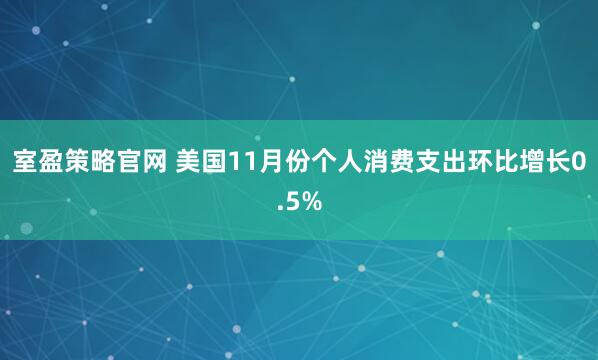 室盈策略官网 美国11月份个人消费支出环比增长0.5%