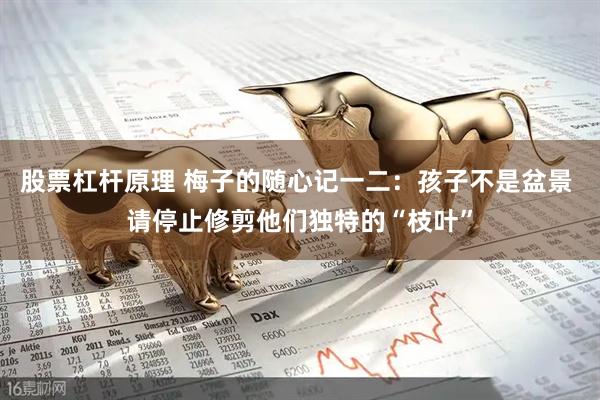 股票杠杆原理 梅子的随心记一二：孩子不是盆景 请停止修剪他们独特的“枝叶”