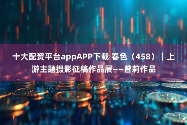 十大配资平台appAPP下载 春色（458）｜上游主题摄影征稿作品展——曾莉作品
