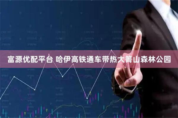 富源优配平台 哈伊高铁通车带热大箐山森林公园
